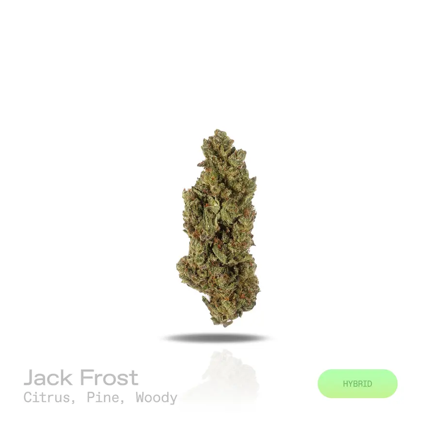 Jack Frost THCa Flower (Indoor) (Hybrid)