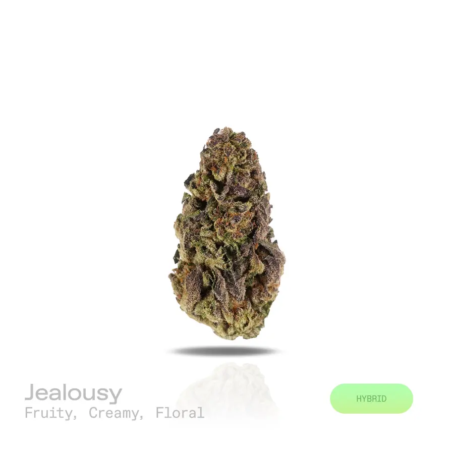 Jealousy THCa Flower (Indoor) (Hybrid)