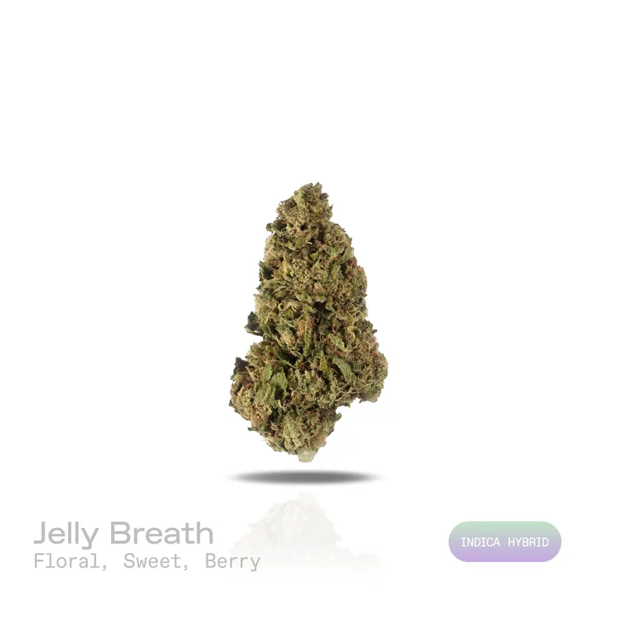 Jelly Breath THCa Flower (Indoor) (Indica Hybrid)