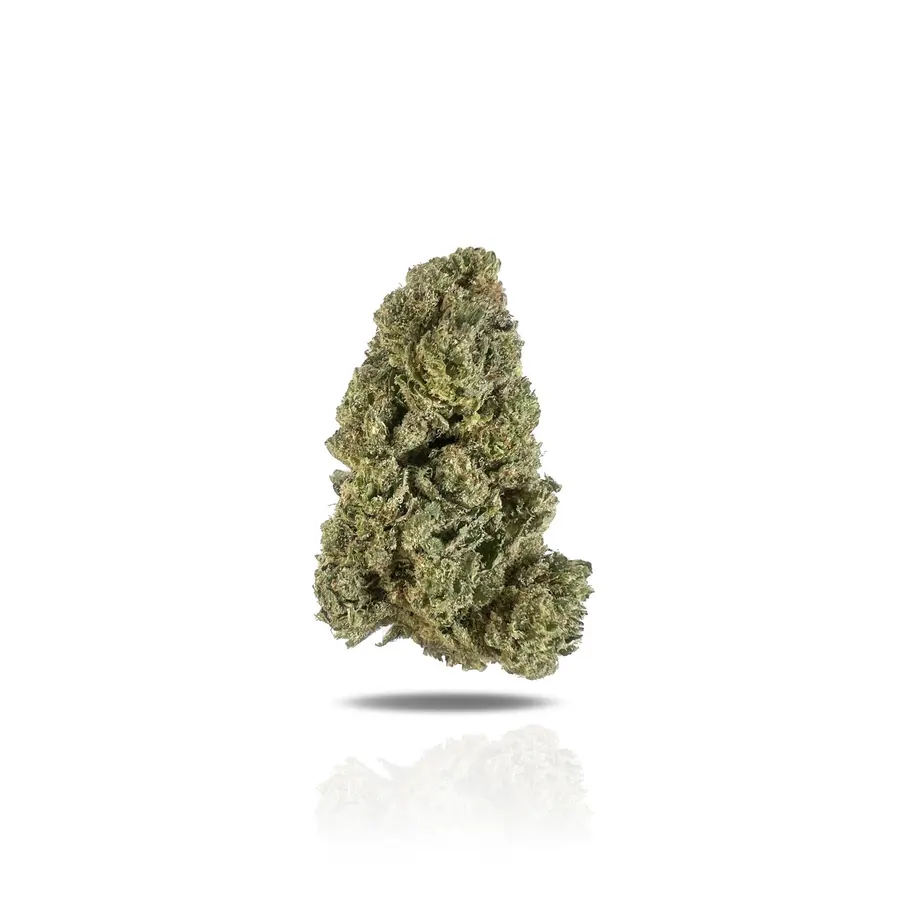 Key Lime Jack THCa Flower (Indoor) (Hybrid)