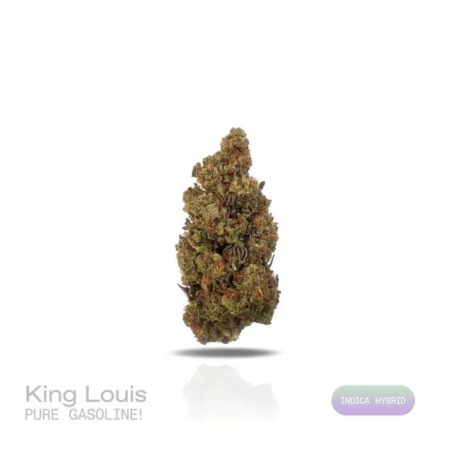 King Louis THCa Flower (Indoor) (Indica Hybrid)