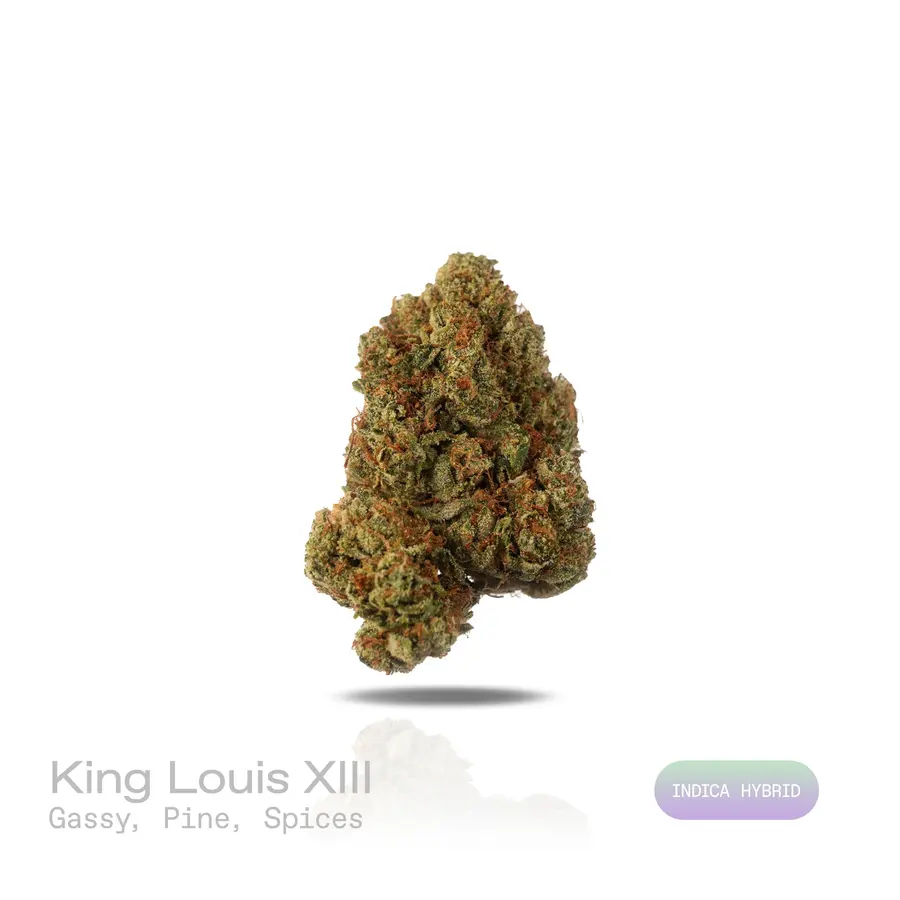 King Louis XIII THCa Flower (Premium Indoor) (Indica Hybrid)