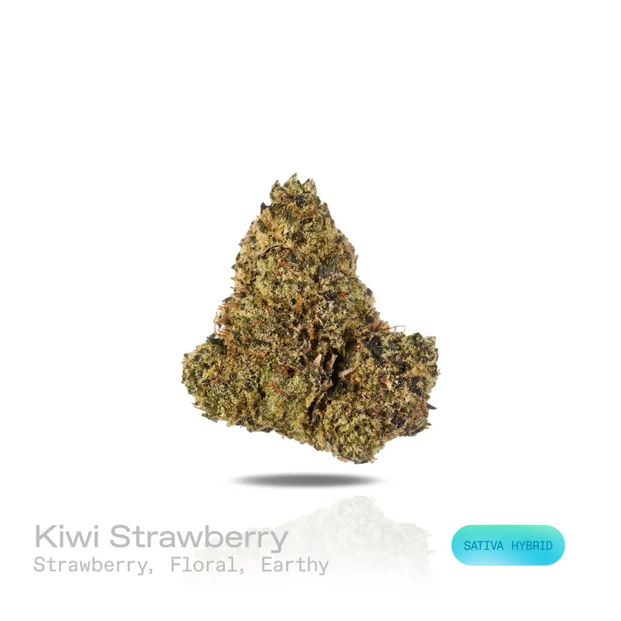 Kiwi Strawberry THCa Flower (Premium Indoor) (Sativa Hybrid)