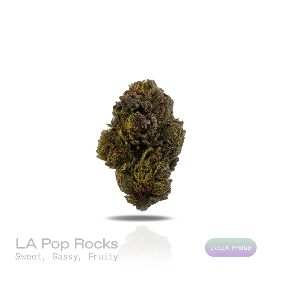 LA Pop Rocks THCa Flower (Indoor) (Indica Hybrid)