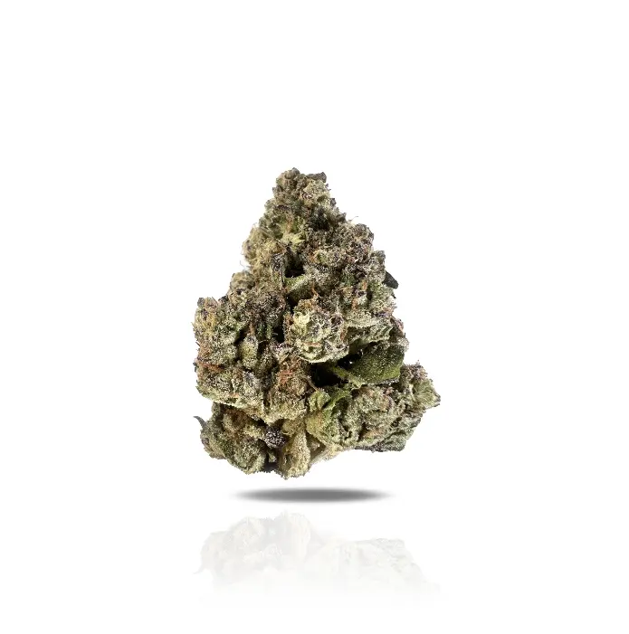 LA Push Pop THCa Flower (Indoor) (Hybrid)