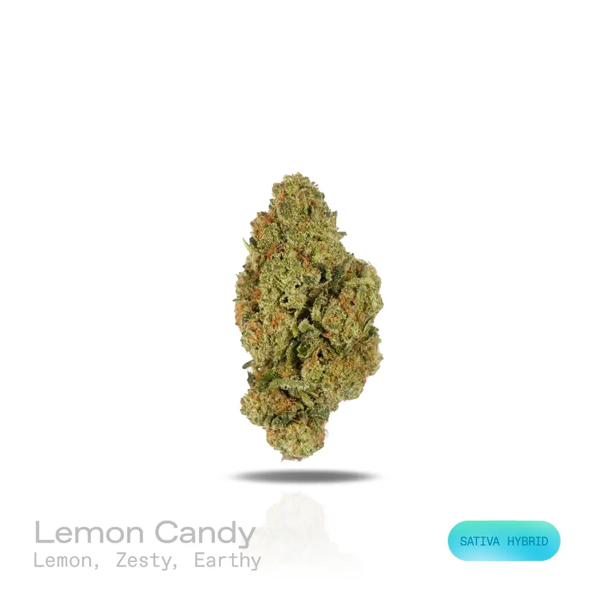 Lemon Candy THCa Flower (Indoor) (Sativa Hybrid)