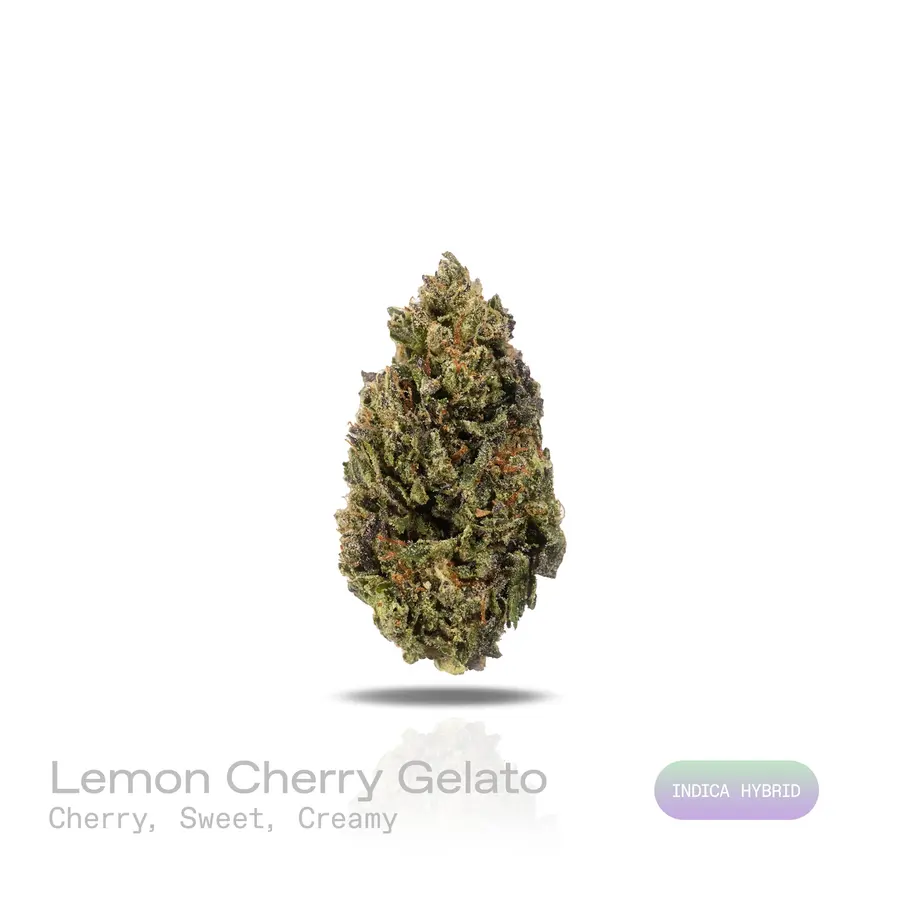 Lemon Cherry Gelato THCa Flower (Indoor) (Indica Hybrid)