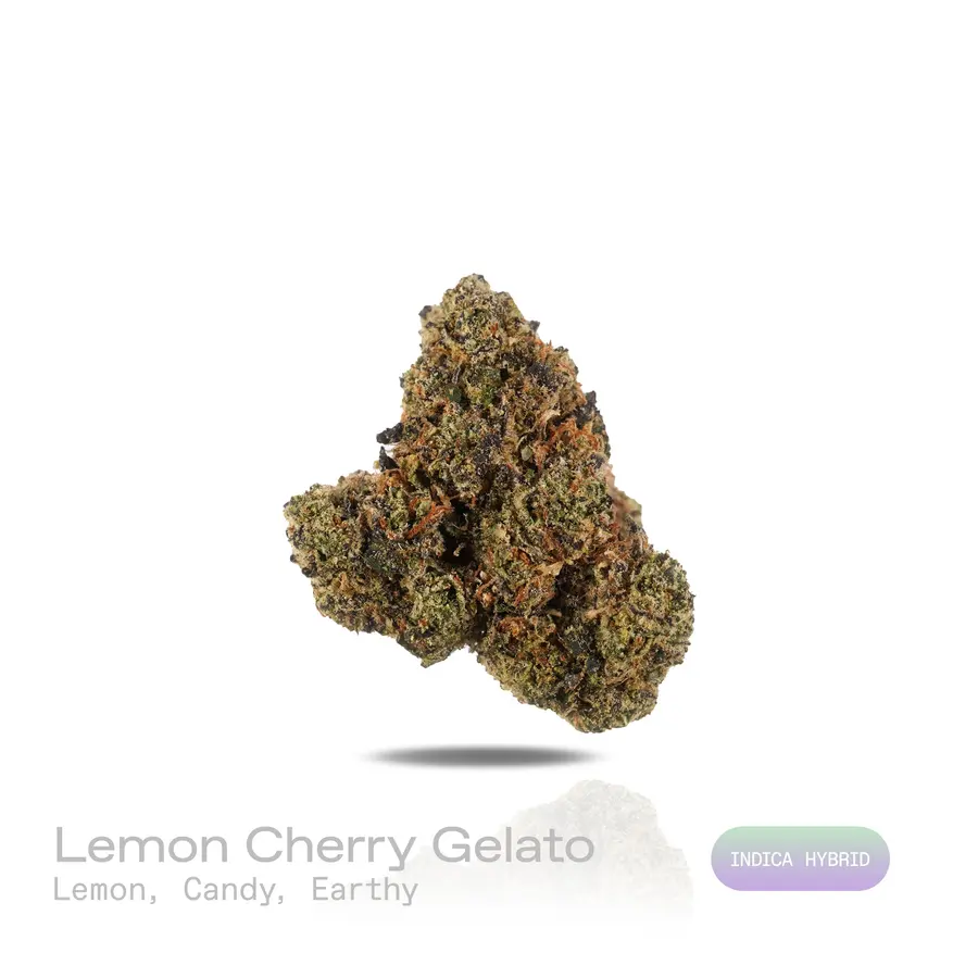 Lemon Cherry Gelato THCa Flower (Premium Indoor) (Indica Hybrid)