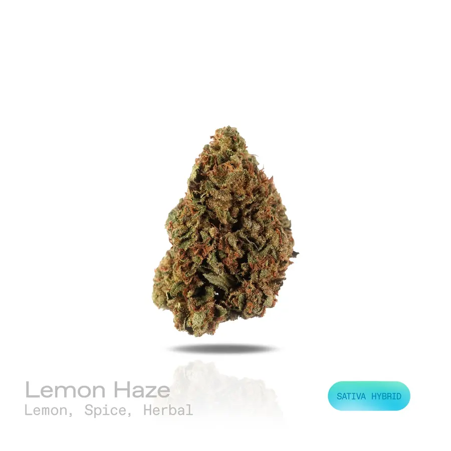Lemon Haze THCa Flower (Indoor) (Sativa Hybrid)
