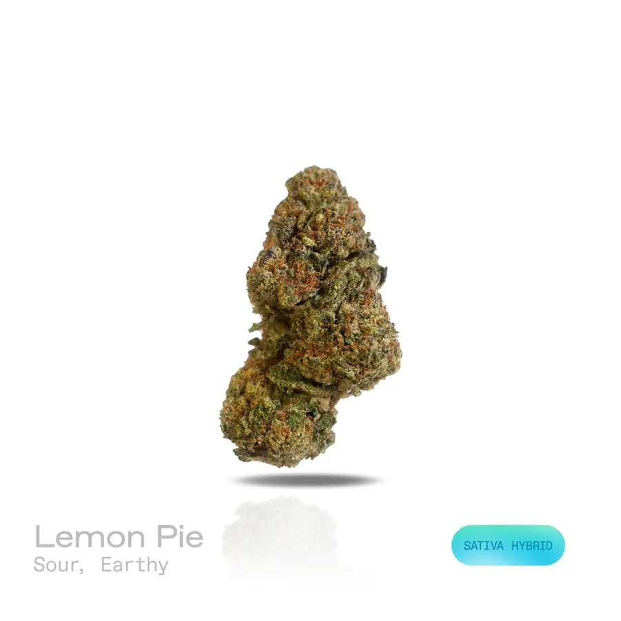 Lemon Pie THCa Flower (Indoor) (Sativa Hybrid)