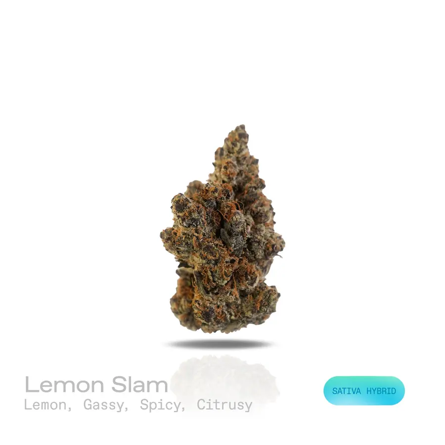Lemon Slam THCa Flower (Exotic) (Sativa Hybrid)