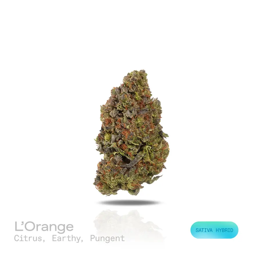 L'Orange THCa Flower (Indoor) (Sativa Hybrid)