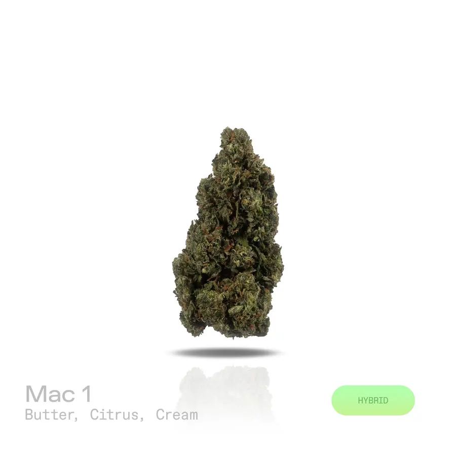 MAC 1 THCa Flower (Indoor) (Hybrid)