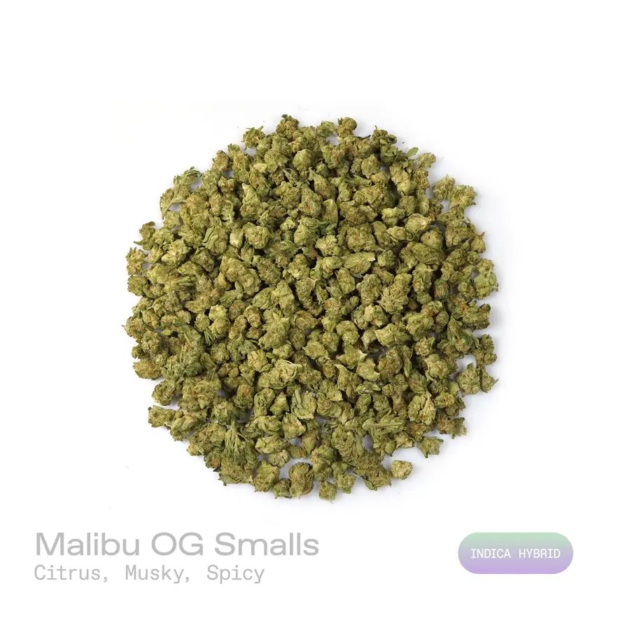 Malibu OG THCa Flower (Indoor) (Indica Hybrid)