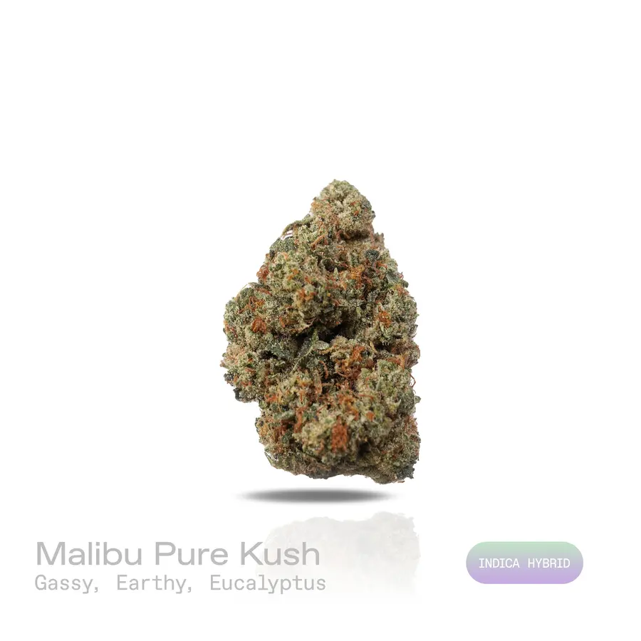 Malibu Pure Kush THCa Flower (Premium Indoor) (Indica Hybrid)