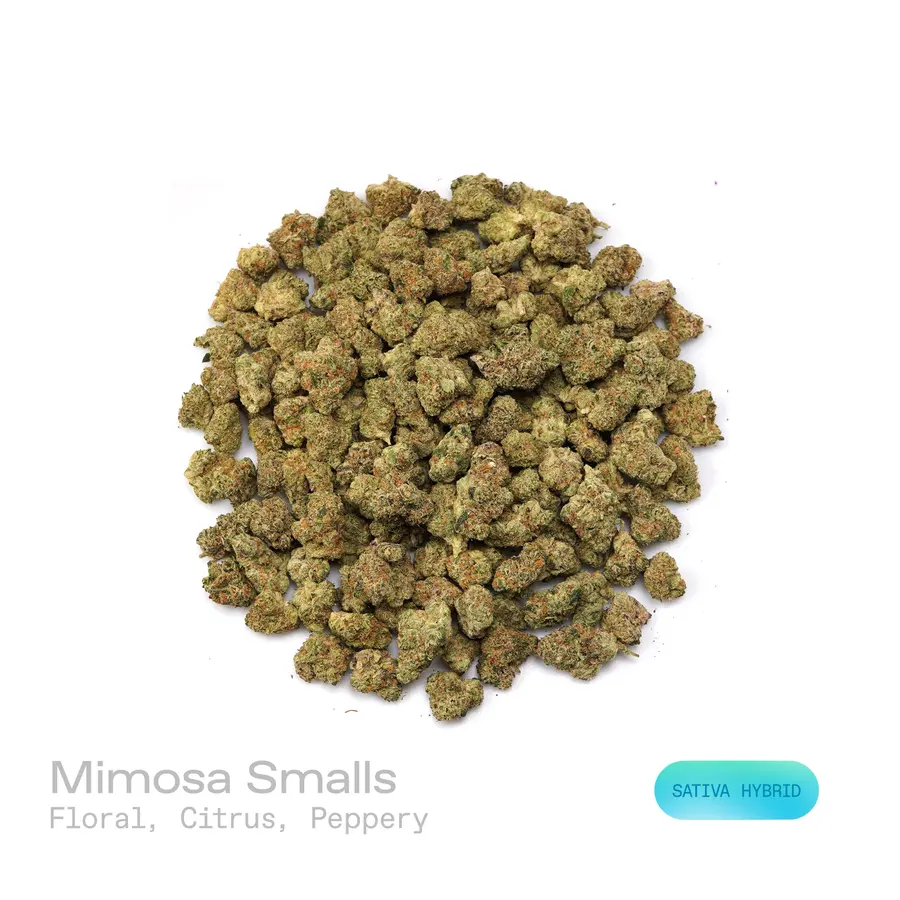 Mimosa THCa Flower (Indoor) (Sativa Hybrid)