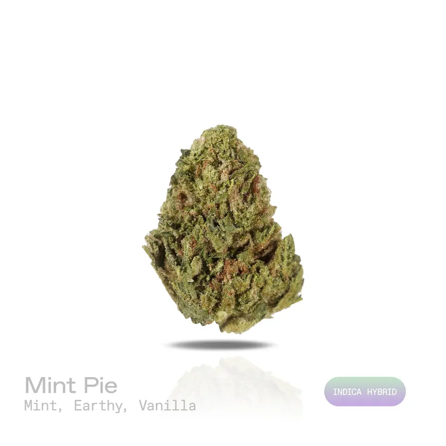 Mint Pie THCa Flower (Indoor) (Indica Hybrid)