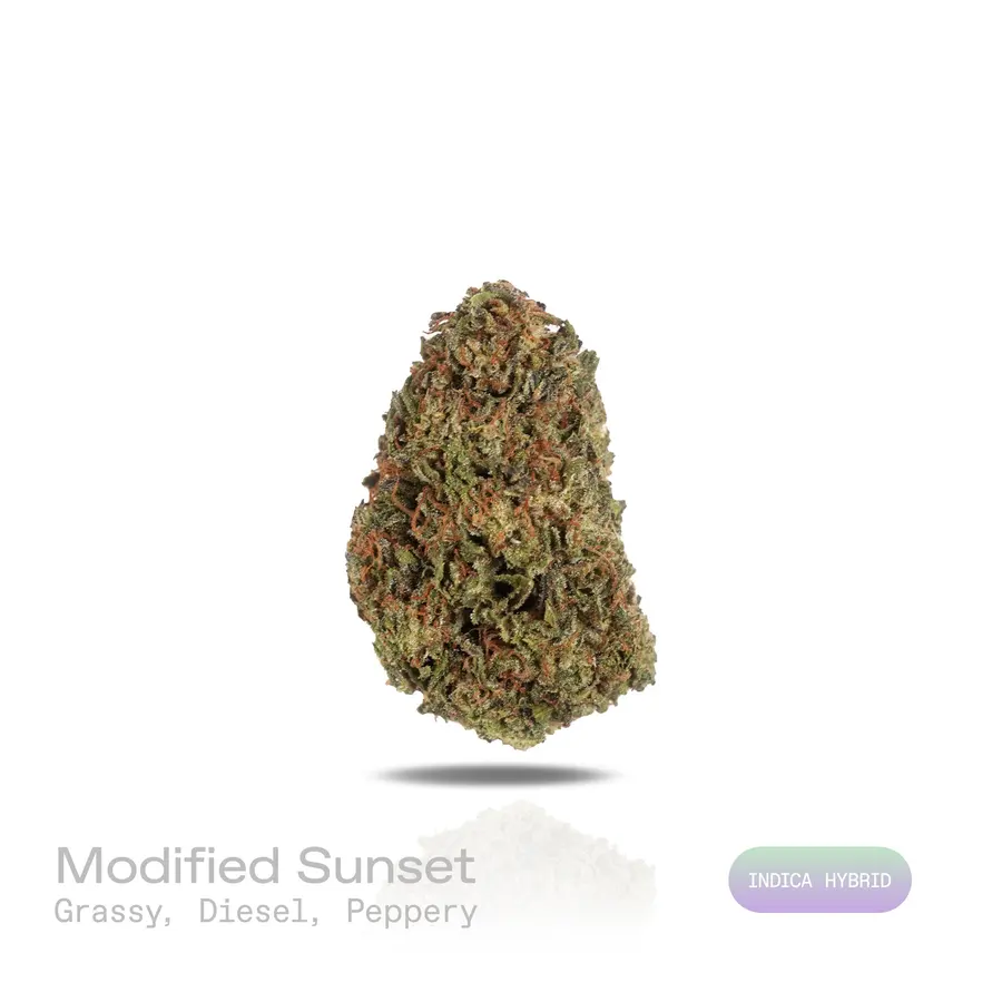 Modified Sunset THCa Flower (Indoor) (Indica Hybrid)