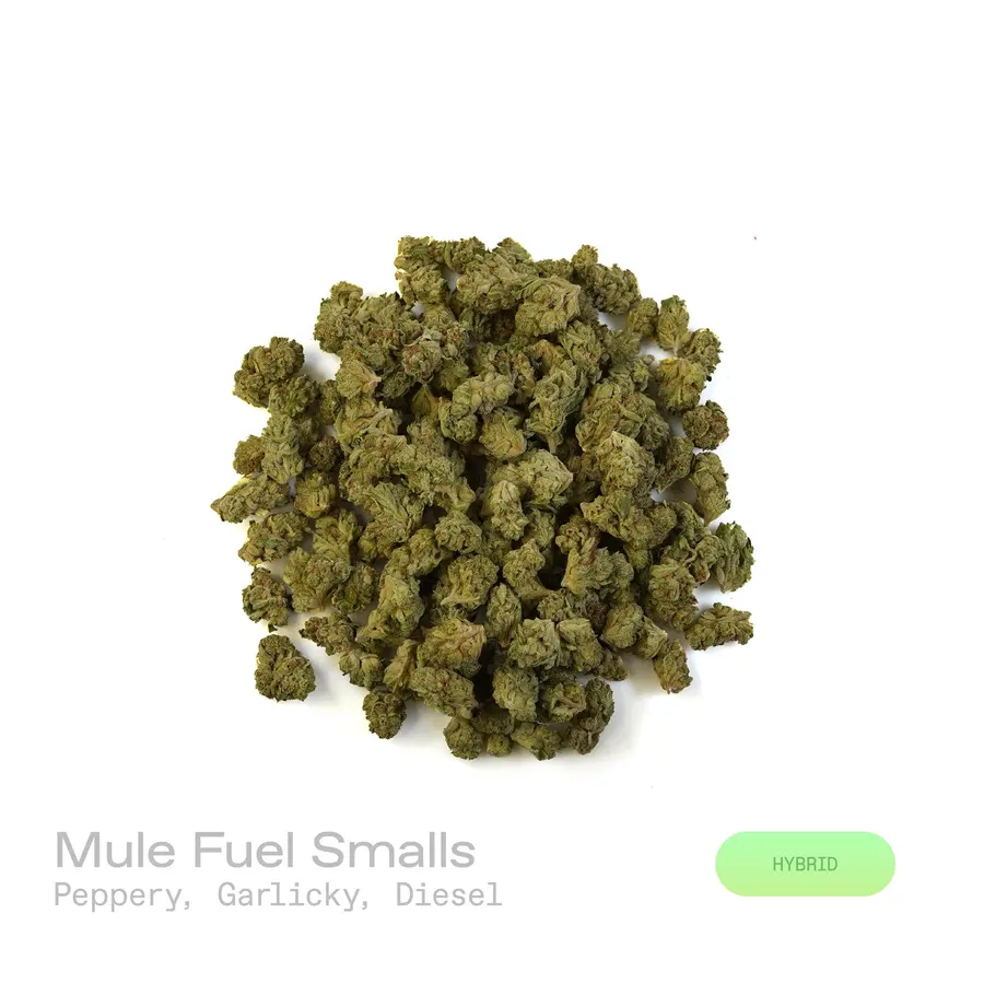 Mule Fuel THCa Flower (Indoor) (Hybrid)