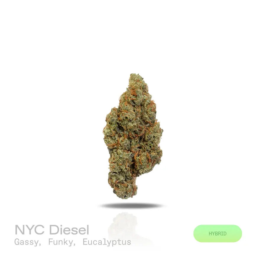 NYC Diesel THCa Flower (Exotic) (Hybrid)