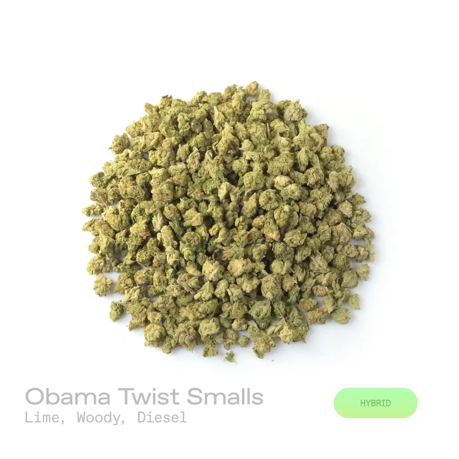 Obama Twist THCa Flower (Indoor) (Hybrid)