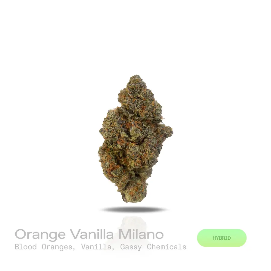 Orange Vanilla Milano THCa Flower (Exotic) (Sativa Hybrid)