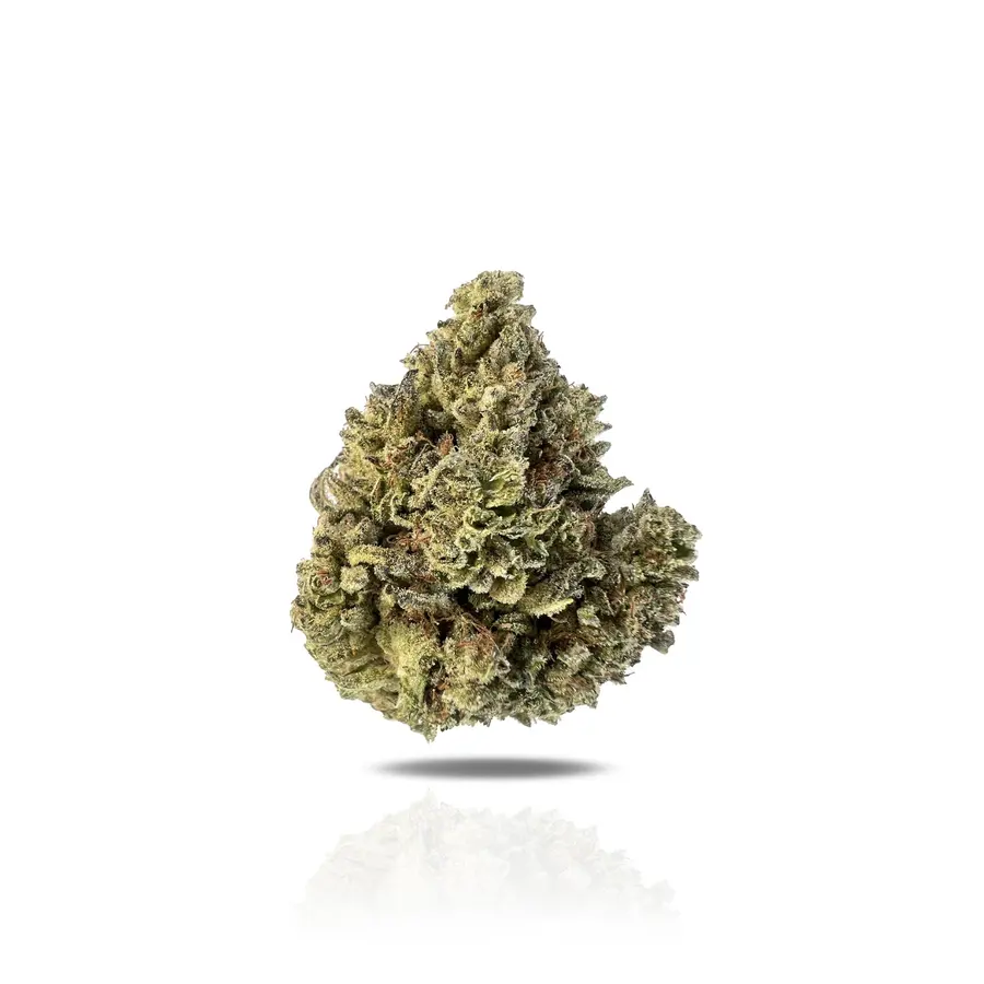 ORZ Blizzard THCa Flower (Indoor) (Indica Hybrid)