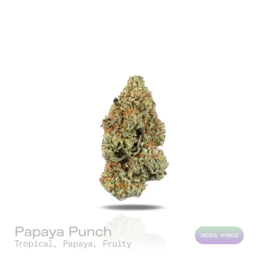 Papaya Punch THCa Flower (Indoor) (Indica Hybrid)