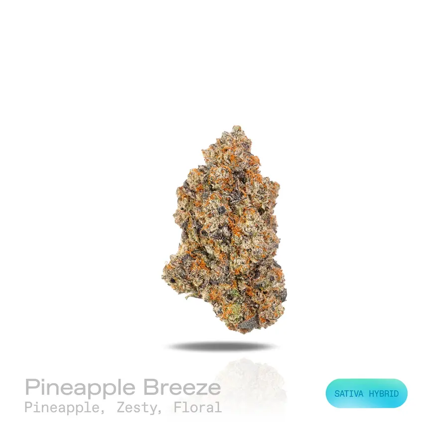 Pineapple Breeze THCa Flower (Exotic) (Sativa Hybrid)