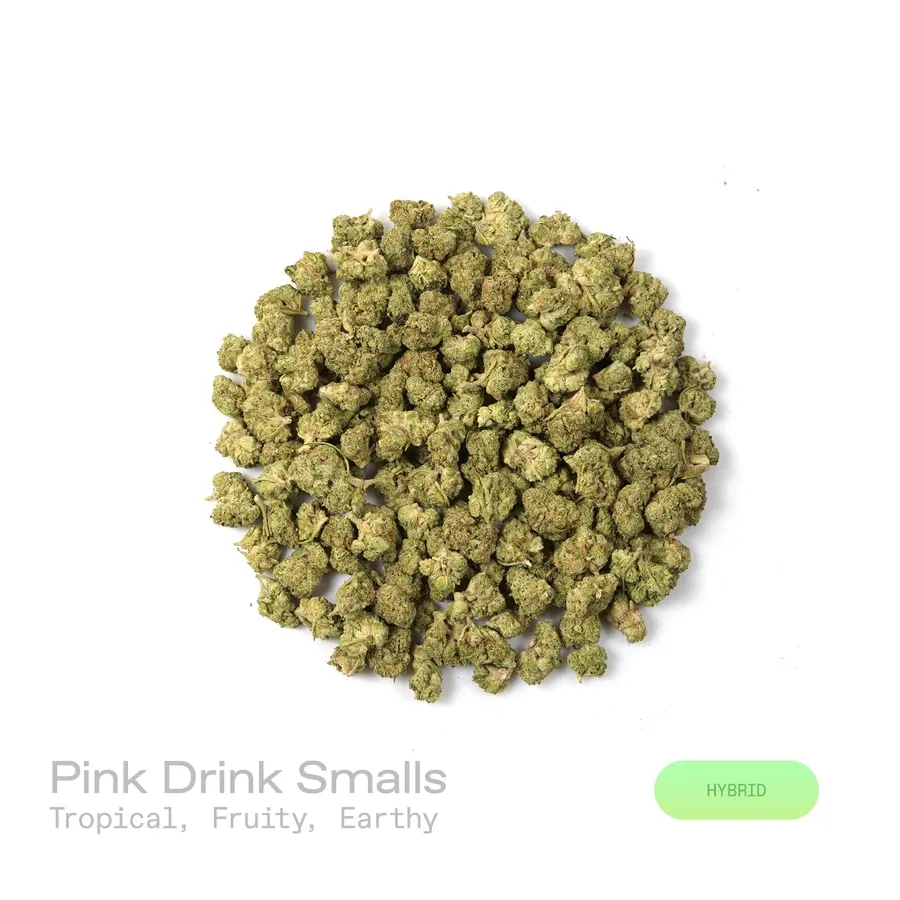 Pink Drink THCa Flower (Indoor) (Hybrid)