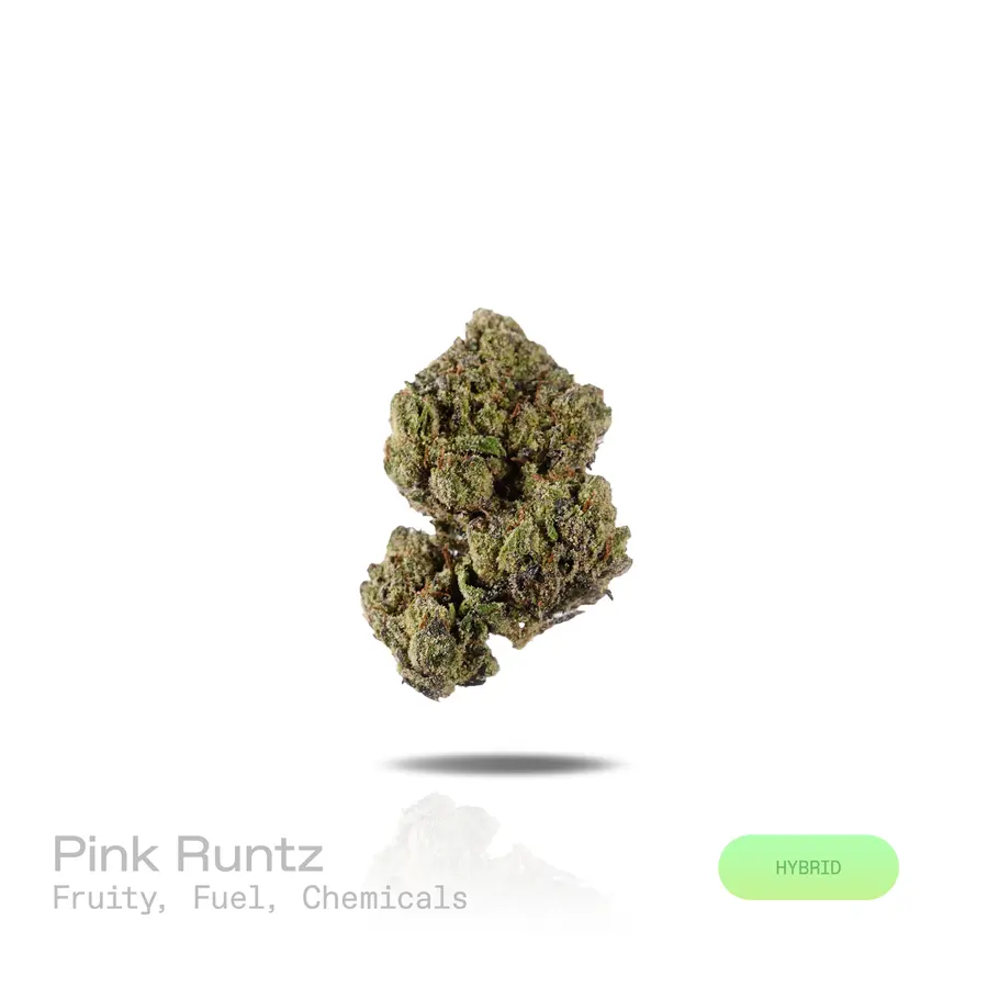 Pink Runtz THCa Flower (Indoor) (Hybrid)