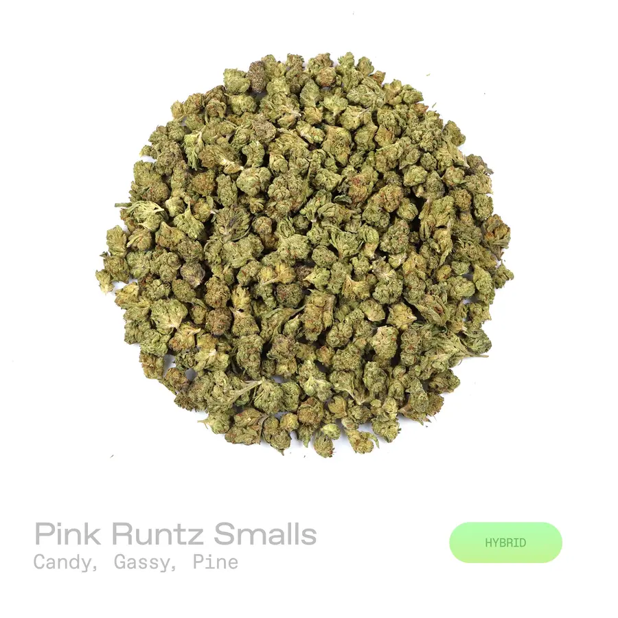 Pink Runtz THCa Flower (Indoor) (Hybrid)