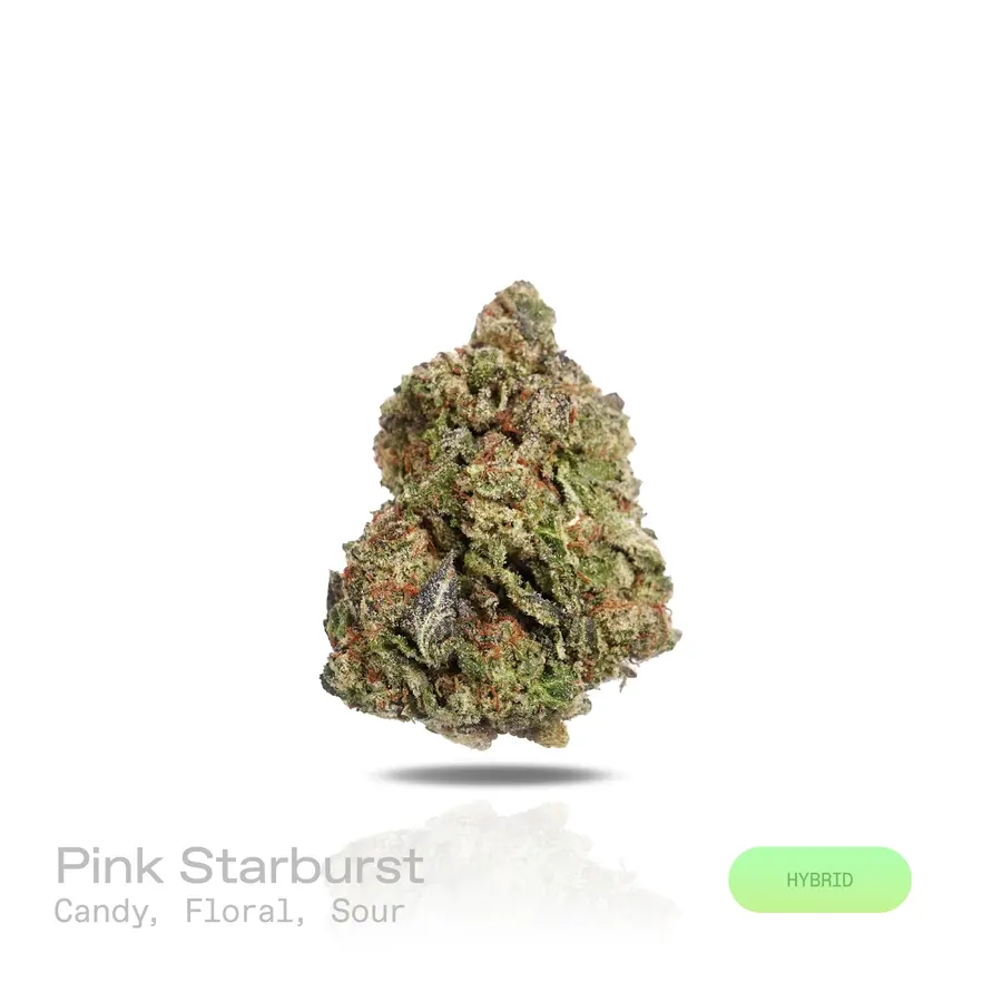 Pink Starburst THCa Flower (Indoor) (Hybrid)