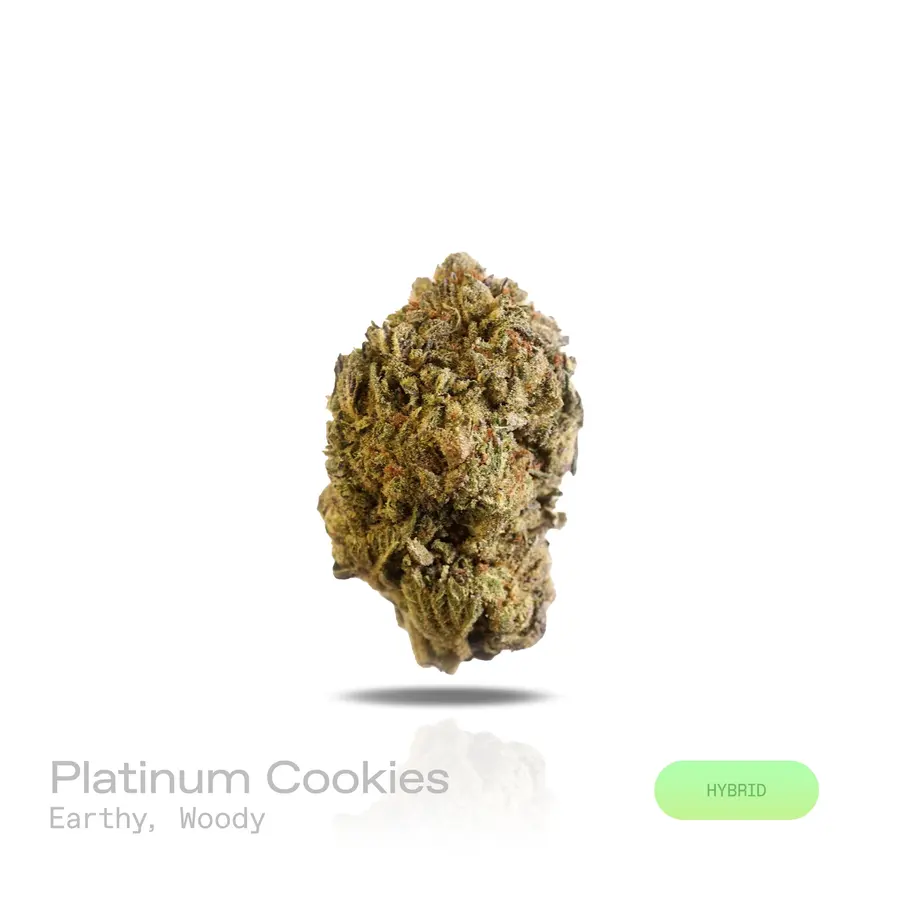 Platinum Cookies THCa Flower (Indoor) (Hybrid)