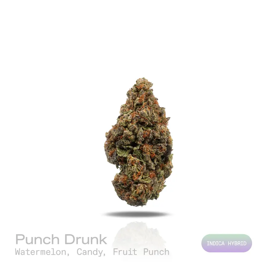 Punch Drunk THCa Flower (Indoor) (Indica Hybrid)