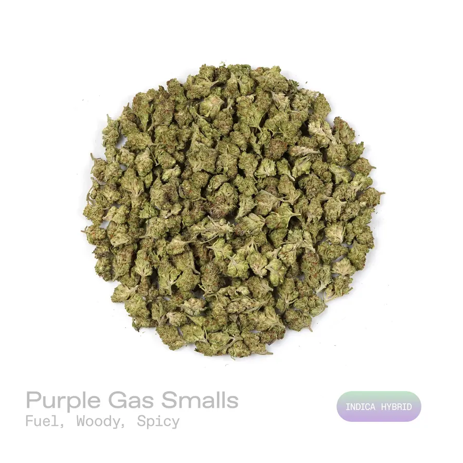 Purple Gas THCa Flower (Indoor) (Indica Hybrid)
