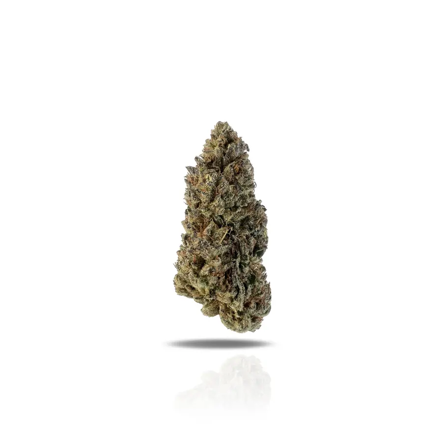 Purple Gelato THCa Flower (Indoor) (Hybrid)