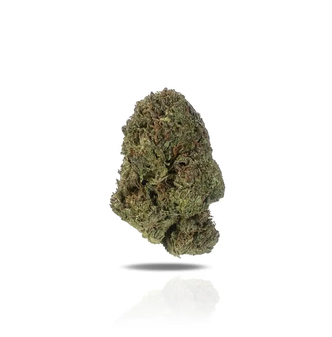 Push Pop THCa Flower (Indoor) (Hybrid)
