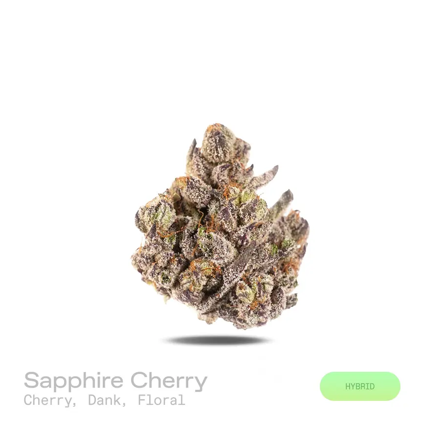 Sapphire Cherry THCa Flower (Exotic) (Hybrid)