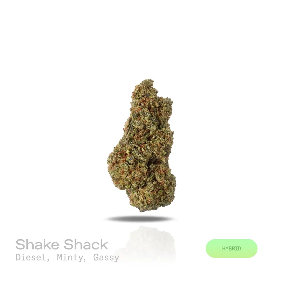 Shake Shack THCa Flower (Indoor) (Hybrid)