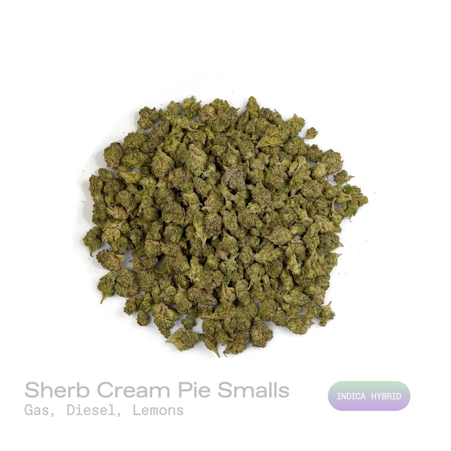 Sherb Cream Pie THCa Flower (Indoor) (Indica Hybrid)