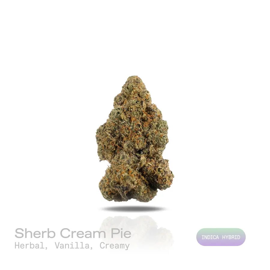 Sherb Cream Pie THCa Flower (Indoor) (Indica Hybrid)