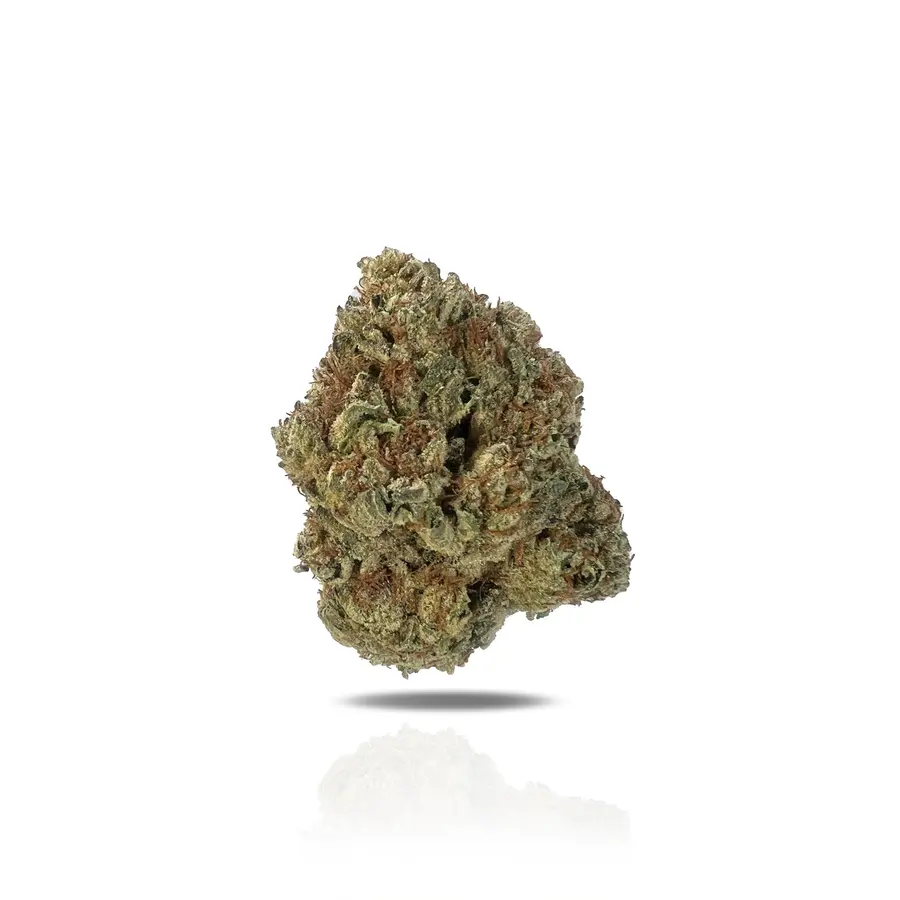 Sherblato THCa Flower (Indoor) (Sativa Hybrid)