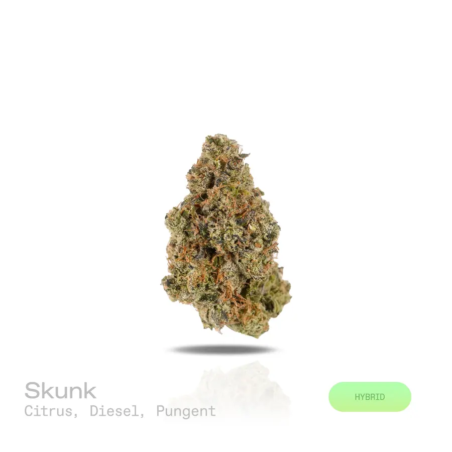 Skunk THCa Flower (Exotic) (Hybrid)