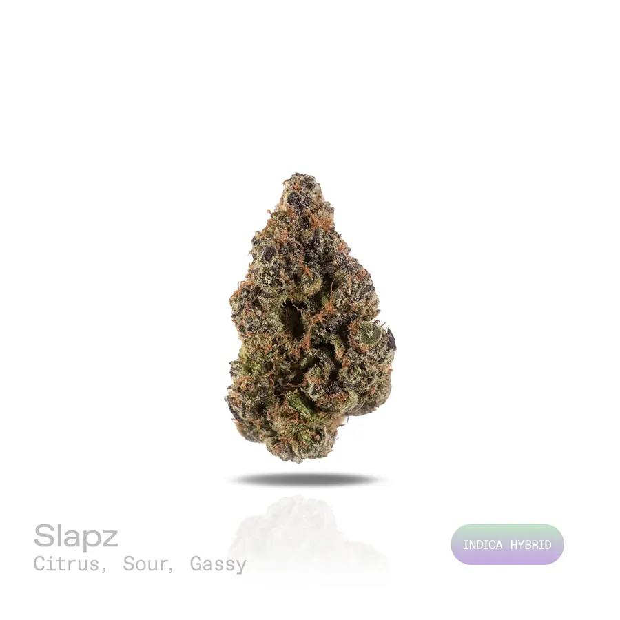 Slapz THCa Flower (Exotic) (Indica Hybrid)