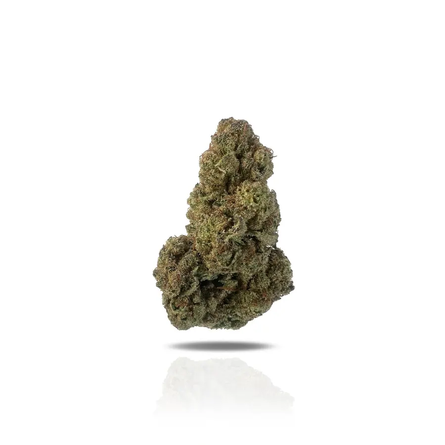 Snickerdoodle THCa Flower (Indoor) (Hybrid)