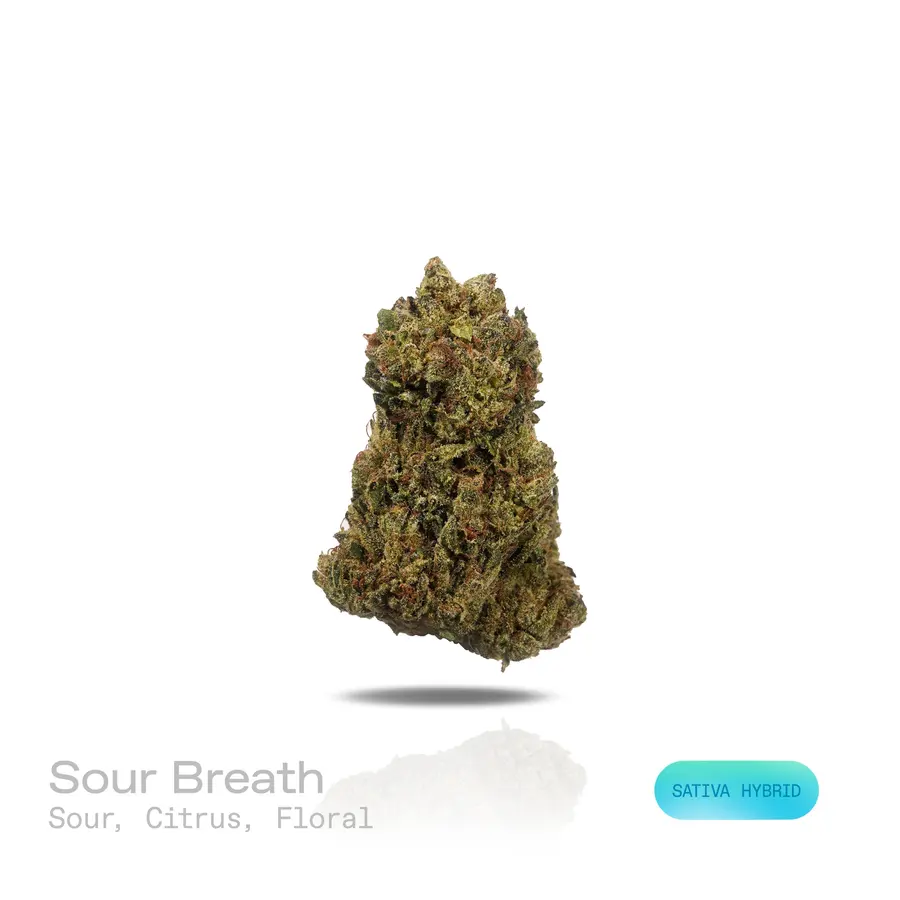Sour Breath THCa Flower (Indoor) (Sativa Hybrid)