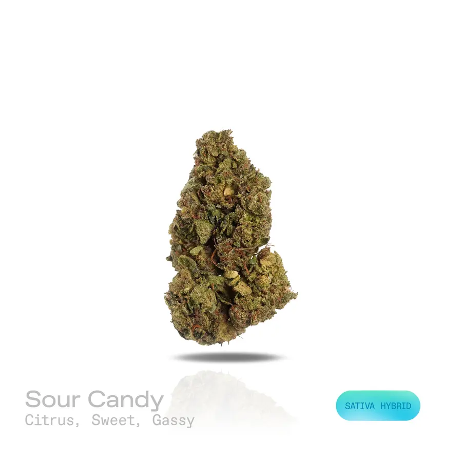 Sour Candy THCa Flower (Indoor) (Sativa Hybrid)