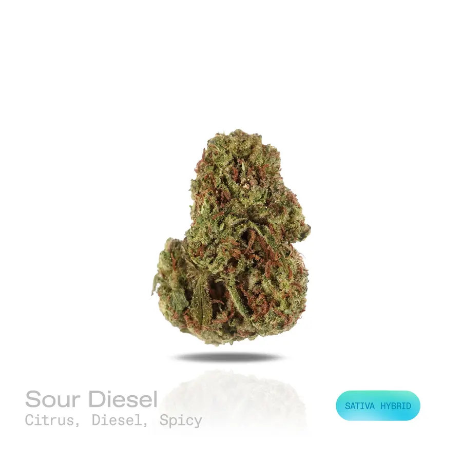 Sour Diesel THCa Flower (Indoor) (Sativa Hybrid)
