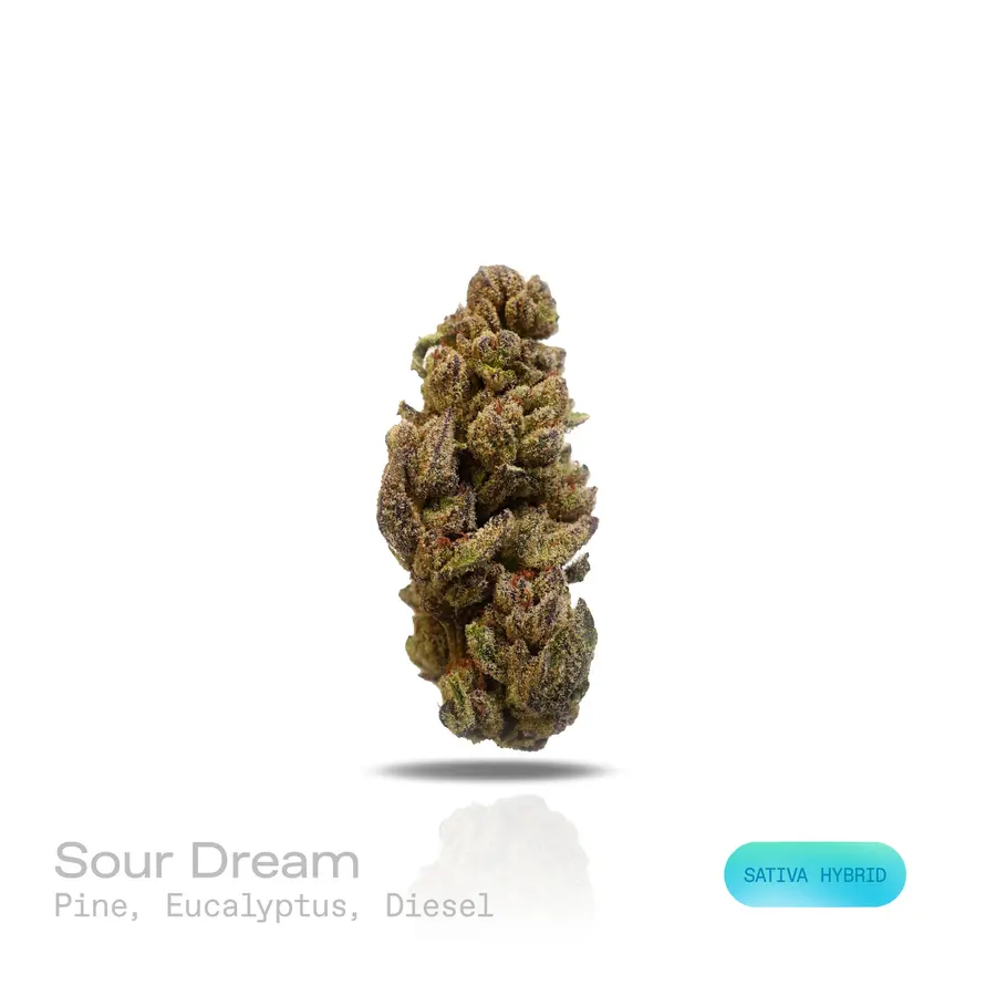 Sour Dream THCa Flower (Indoor) (Sativa Hybrid)